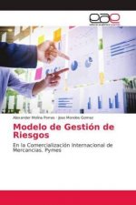 Modelo de Gestion de Riesgos