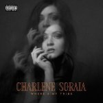 Where's My Tribe (Ltd.Ed.)