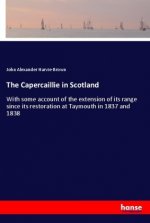 The Capercaillie in Scotland