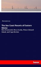 The Sea Coast Resorts of Eastern Maine
