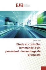 Etude et contrôle-commande d'un procèdent d'ensachage de granulats