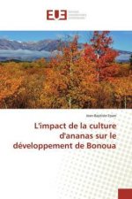 L'impact de la culture d'ananas sur le développement de Bonoua