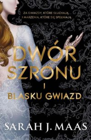 Dwór szronu i blasku gwiazd Tom 4