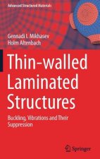 Thin-walled Laminated Structures