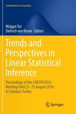 Trends and Perspectives in Linear Statistical Inference