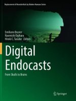 Digital Endocasts