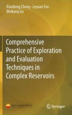 Comprehensive Practice of Exploration and Evaluation Techniques in Complex Reservoirs