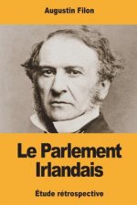 Le Parlement Irlandais: Étude rétrospective