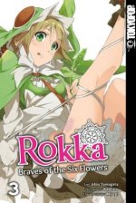 Rokka - Braves of the Six Flowers. Bd.3