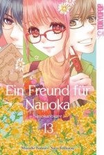 Ein Freund für Nanoka - Nanokanokare. Bd.13