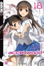 Accel World - Der schwarze Kämpfer mit den zwei Schwertern