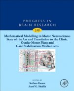 Mathematical Modelling in Motor Neuroscience: State of the Art and Translation to the Clinic. Ocular Motor Plant and Gaze Stabilization Mechanisms