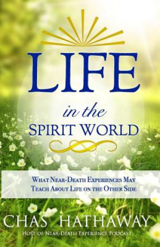 Life in the Spirit World: What Near-Death Experiences May Teach about Life on the Other Side