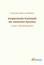 Vergleichende Grammatik der slawischen Sprachen