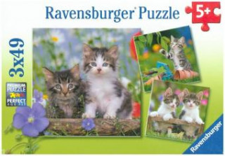 Ravensburger Kinderpuzzle - 08046 Süße Samtpfötchen - Puzzle für Kinder ab 5 Jahren, mit 3x49 Teilen