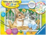 Ravensburger Malen nach Zahlen 28477 - Putzige Freunde - Kinder ab 9 Jahren