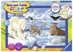 Ravensburger Malen nach Zahlen 28909 - Tiere der Arktis - Kinder ab 11 Jahren