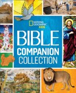 Bible Box Set