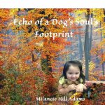 Echo of a Dog's Soul's Footprint
