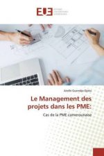 Management des projets dans les PME