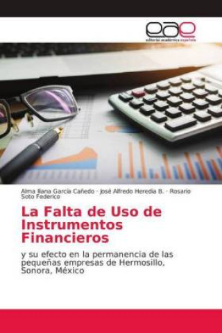 Falta de Uso de Instrumentos Financieros