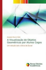 Visualizacao de Objetos Geometricos por Alunos Cegos