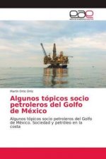 Algunos topicos socio petroleros del Golfo de Mexico
