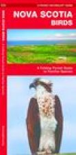 Nova Scotia Birds