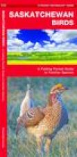 Saskatchewan Birds
