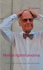 Mellan hjarnhalvorna