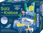 Salzkrebse (Experimentierkasten)