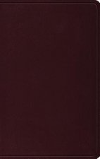 ESV Thinline Bible