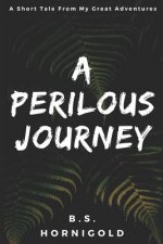 A Perilous Journey: A Short Tale From My Great Adventures