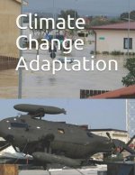 Climate Change Adaptation: Dod Needs to Better Incorporate Adaptation Into Planning and Collaboration at Overseas Installations