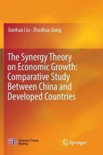 Synergy Theory on Economic Growth: Comparative Study Between China and Developed Countries
