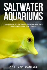 Saltwater Aquariums: Learn How to Properly Set Up Your Tank and Make Your Fish Thrive