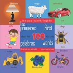 First 100 Words - A Picture Book for Babies. Las Primeras 100 Palabras - Libros Ilustrados Para Beb