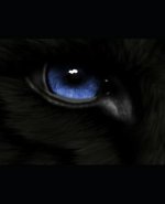 Wolf: Answers: Book 2 of the Wolf Series.