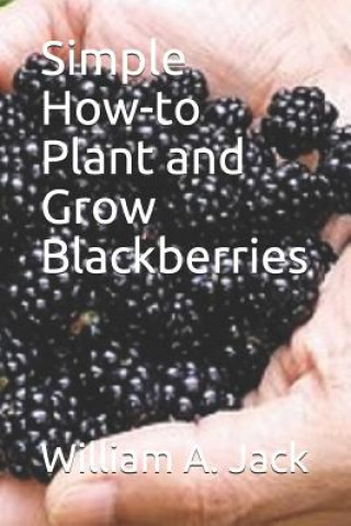 Simple How-To Plant and Grow Blackberries