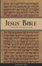 Jesus' Bible: A Concise History of the Hebrew Scriptures: 2nd Printing, with Minor Revisions
