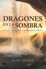 Dragones en la sombra