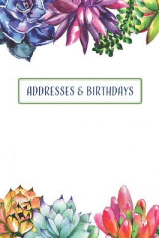 Addresses & Birthdays: Watercolor Succulents