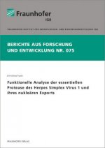 Funktionelle Analyse der essentiellen Protease des Herpes Simplex Virus 1 und ihres nukleären Exports.