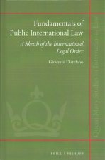 Fundamentals of Public International Law: A Sketch of the International Legal Order