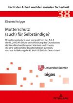 Mutterschutz (auch) fur Selbstandige?; Umsetzungsbedarfe und -perspektiven des Art. 8 der RL 2010/41/EU zur Verwirklichung des Grundsatzes der Gleichb
