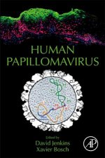 Human Papillomavirus
