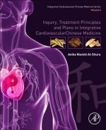Inquiry, Treatment Principles, and Plans in Integrative Cardiovascular Chinese Medicine