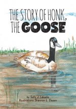 Story of Honk, the Goose