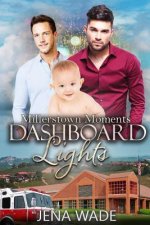 Dashboard Lights: An Mpreg Romance