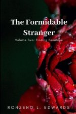 Formidable Stranger Volume 2